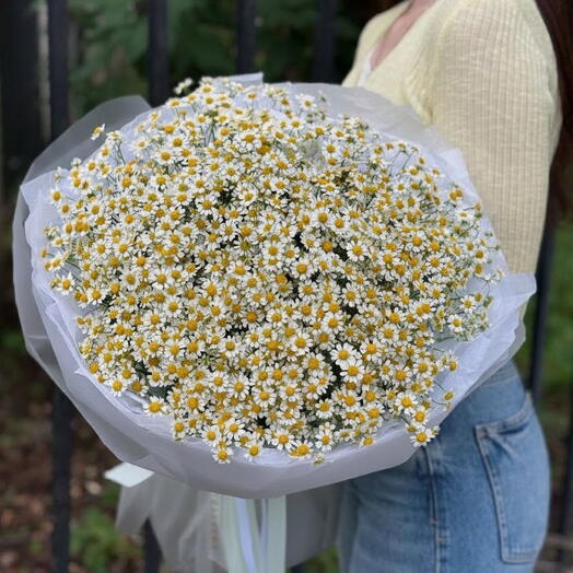 Букет из ромашек