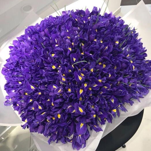 Букет из ирисов XL