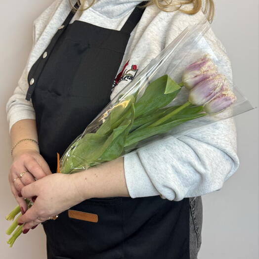 Тюльпаны Бахромчатые 5 шт в прозрачной упаковке