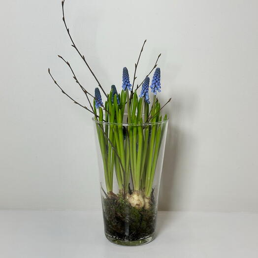 Композиция комплимент с мускари