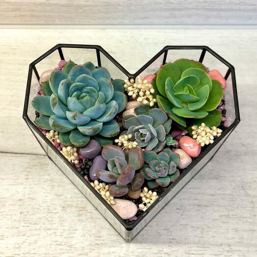 Florarium with succulents I'm yours
