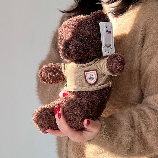 Мягкая игрушка Мишка