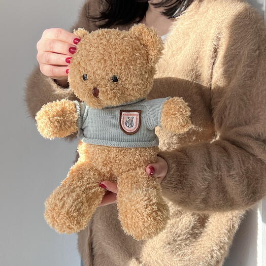 Мишка плюшевый 25 см