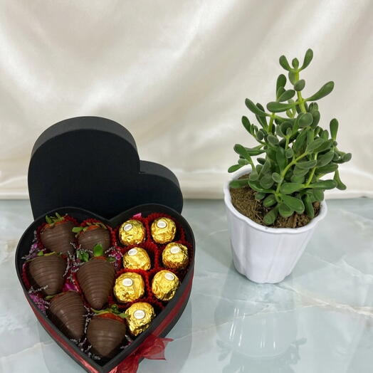 Dulce Corazon