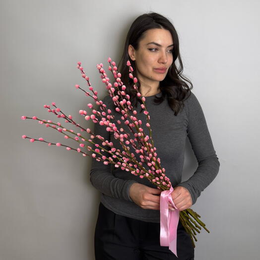 Верба розовая