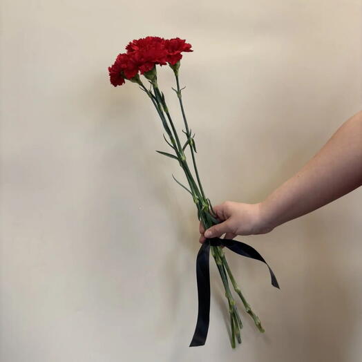 4 красных гвоздики