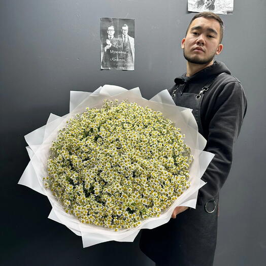 Букет Demin Flowers "Ромашки", 101 цветок, кустовые, 50см, XL, на стеблях