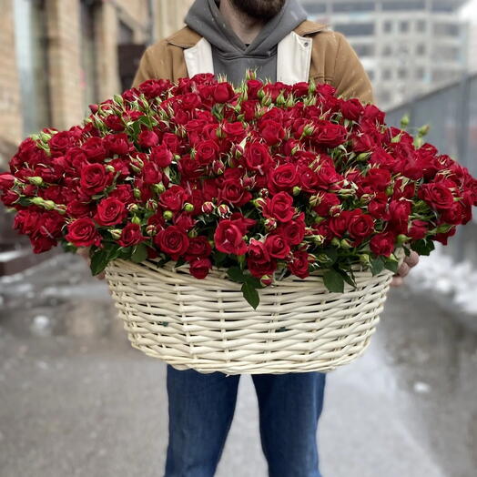 Корзина из красных кустовых роз 101шт