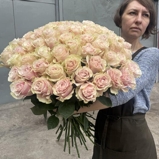 51 Роза Пинк Мандиаль высота 70 см