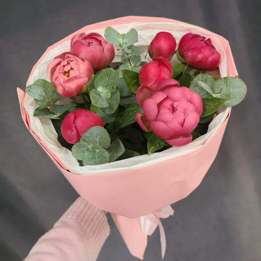 Пиончики 7🩷 в упаковке, полузакрытые