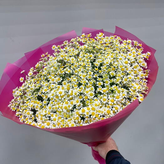 Ромашки Кустовые 25 штук