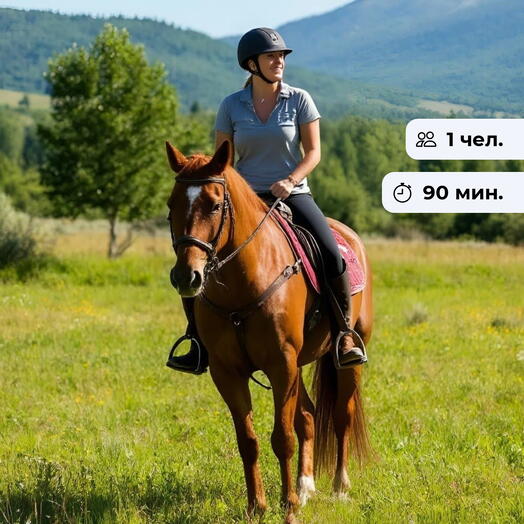 Ритмичный шаг.  Конная прогулка в п. Токсово