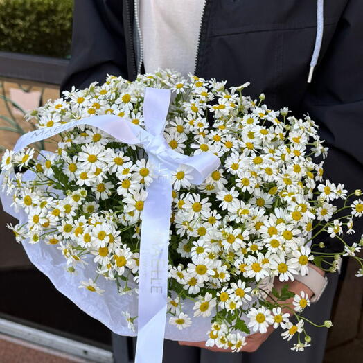 Daisy Mood