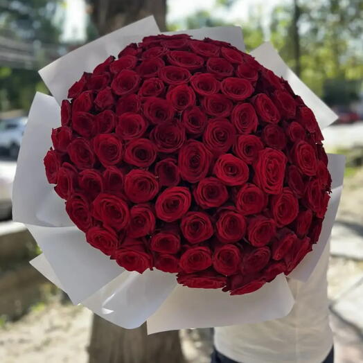 101 красная Роза местная 😍
