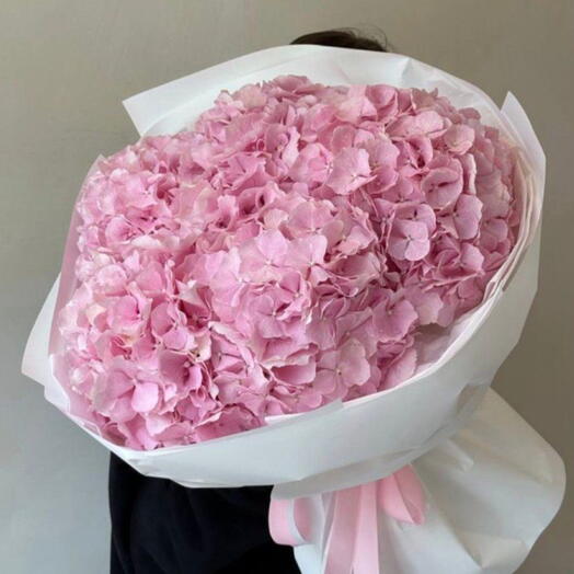 Hydrangea Bliss