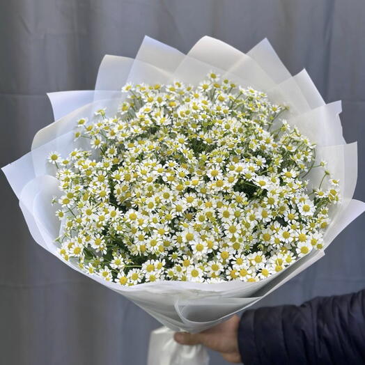 Ромашки 25 Штук