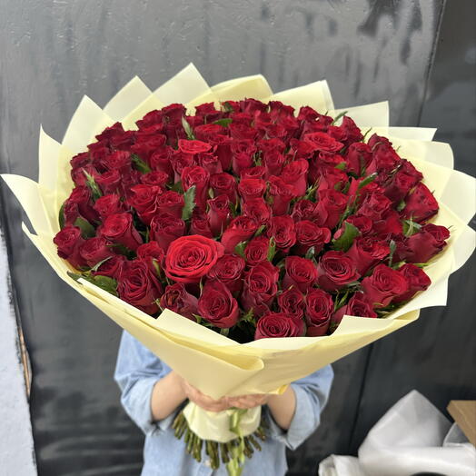 Бордовая роза Кенийская