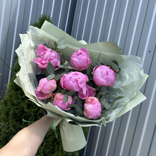 Пионы 💗