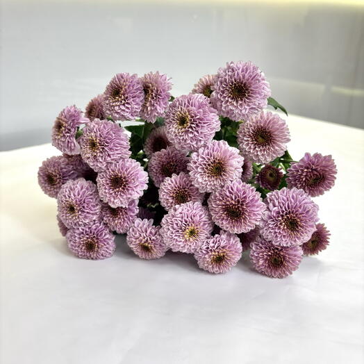 Пачка лавандовой Сантини (5шт)