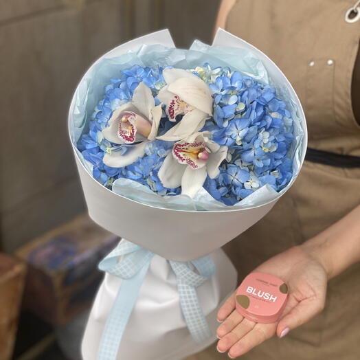 Морской бриз + подарок от Vivienne Sabo — румяна MACARON