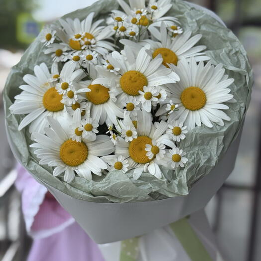 Ромашки микс 🌸