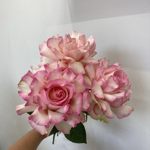 Комплимент из WOW-роз Bloom room