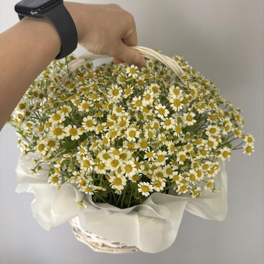 Корзина с ромашками
