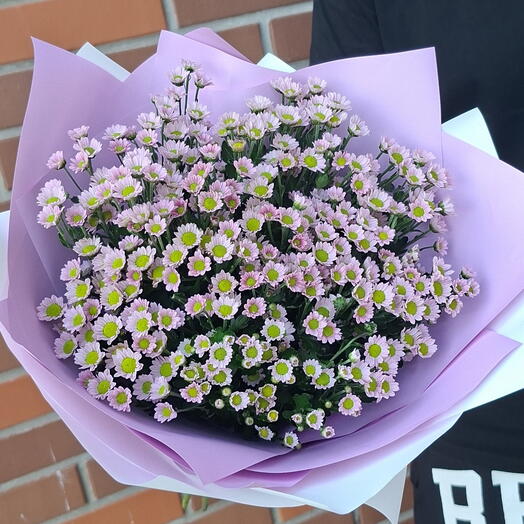Букет из кустовых фиолетовых ромашек (7шт)💜