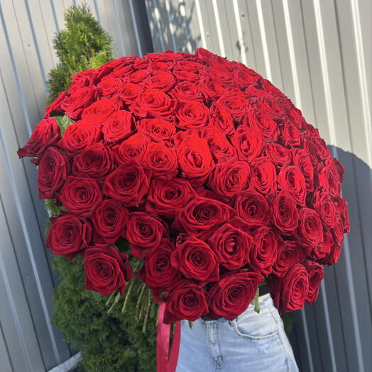 101 Роза 🌹