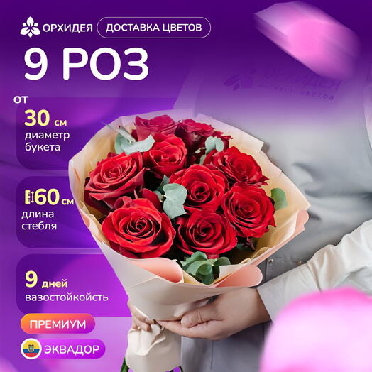 9 роз "Эксплорер"