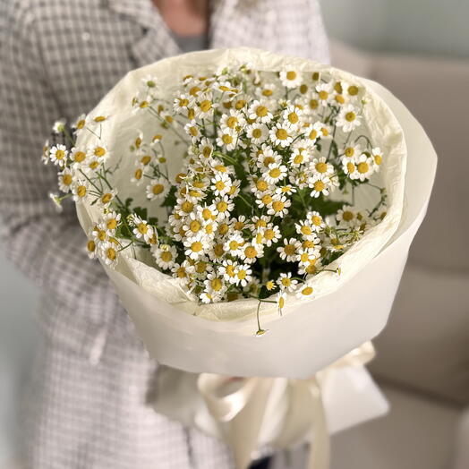 5🤍 КУСТОВЫХ РОМАШЕК