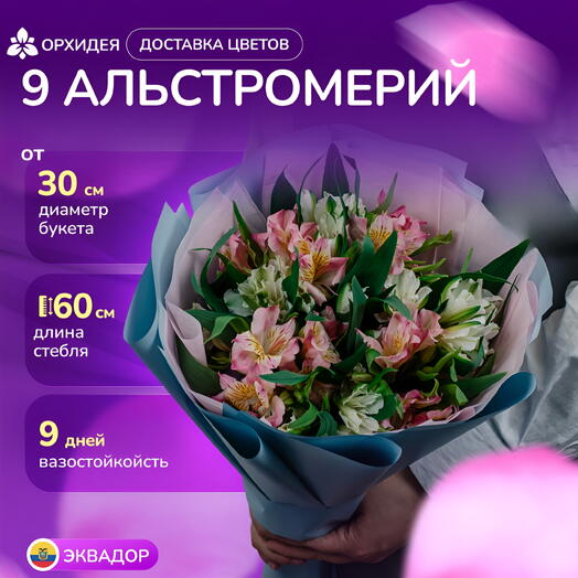 Букет 9 Альстромерий микс