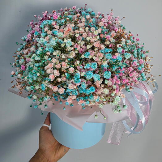 Радужная гипсофила 🌸