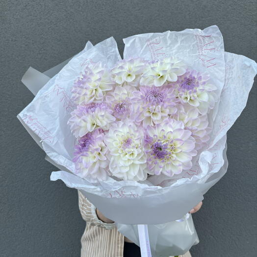Сезонное предложение моно из георгинов