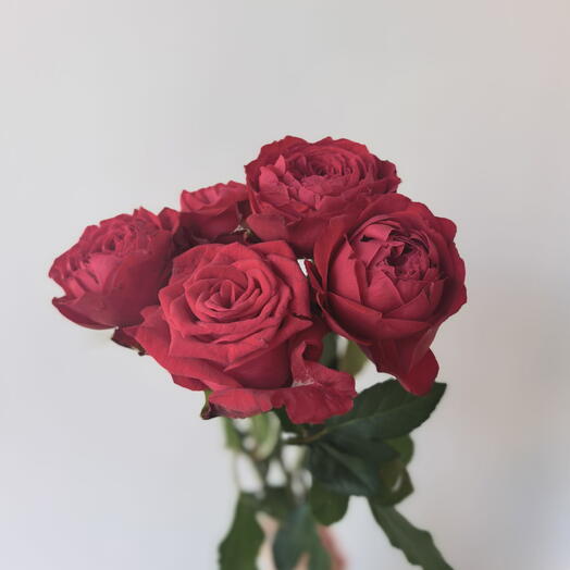 Букет из 5 красных роз 🌹