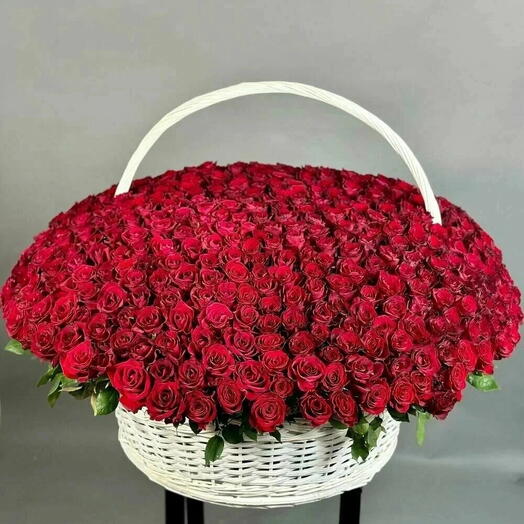 Корзина из 501 красной розы
