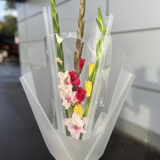 Букет💐 из 5 гладиолусов в ассортименте