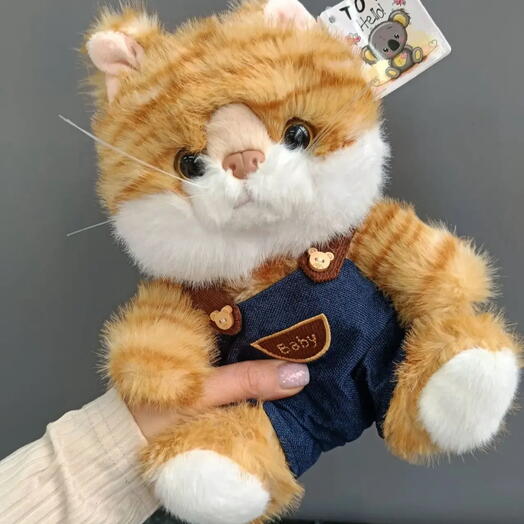 Кот барбос