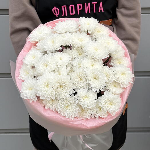 Хризантема Алтай