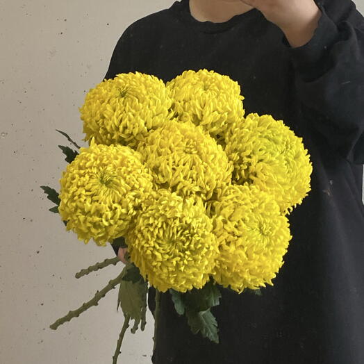 Яркие желтке крупные хризантемы 💛🌼 7
