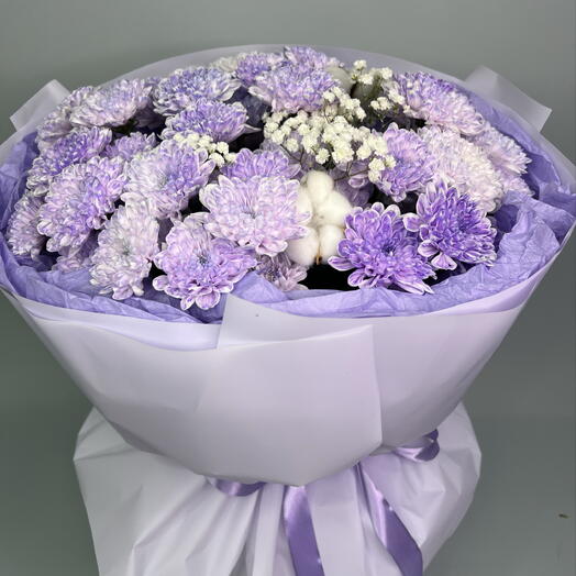 Прованс