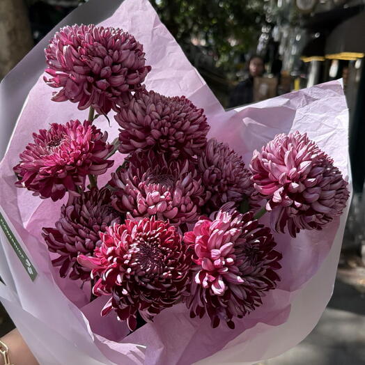 CHRYSANTHEMUM BIGOUDI PURPLE