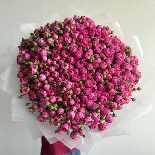 peony roses by misty bubbles