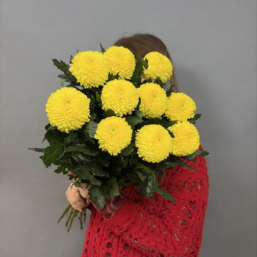 Пачка Хризантема одноголовая желтая (10шт)