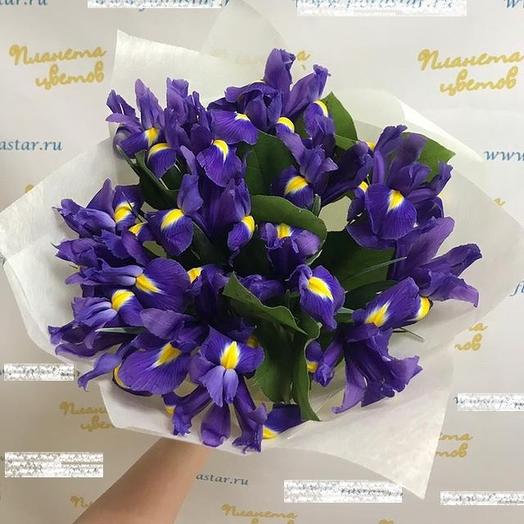 Букет из 15 ирисов