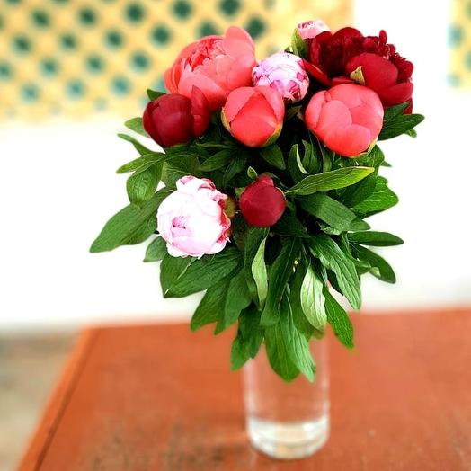 Bouquet of 9 peonies mix
