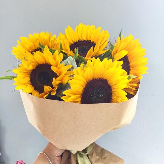 A ray of sunshine