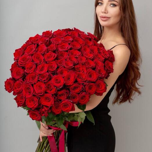 101 roses of the Explorer variety