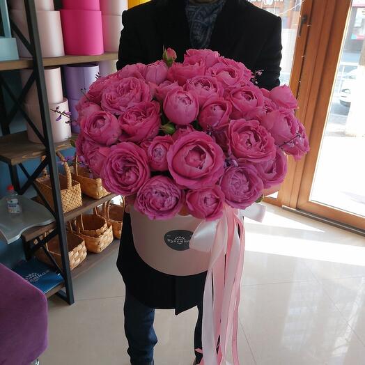 The Peony Miracle