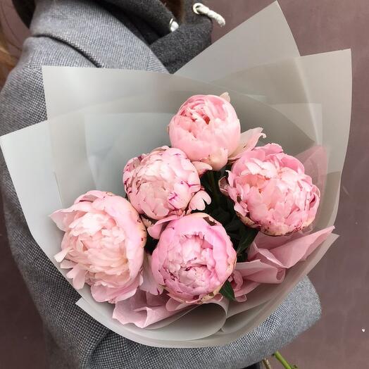 5 peonías Rosadas en película mate y silencio